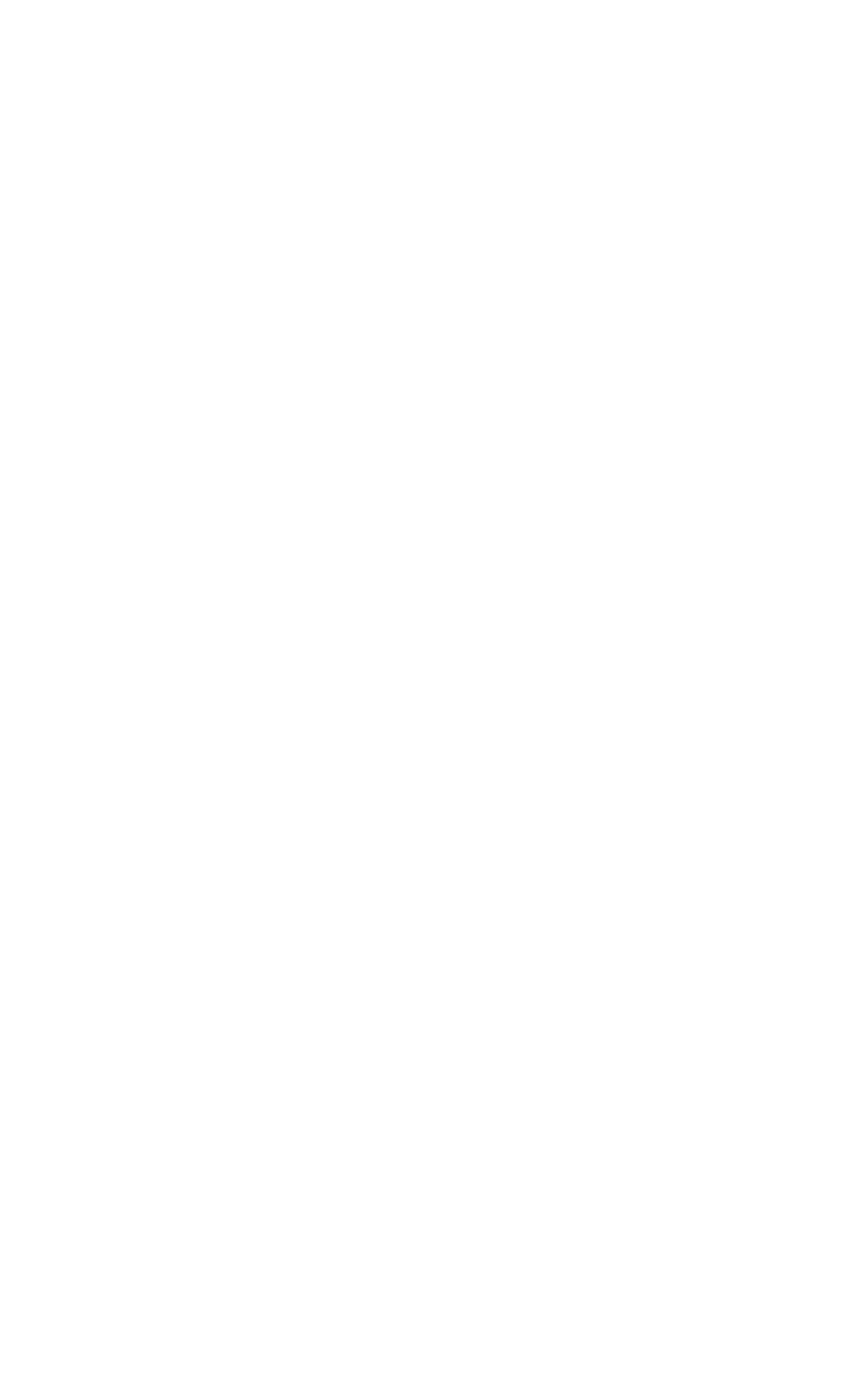 Thermometer Icon