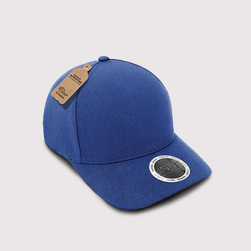 BottleCap 2 Panel Cap